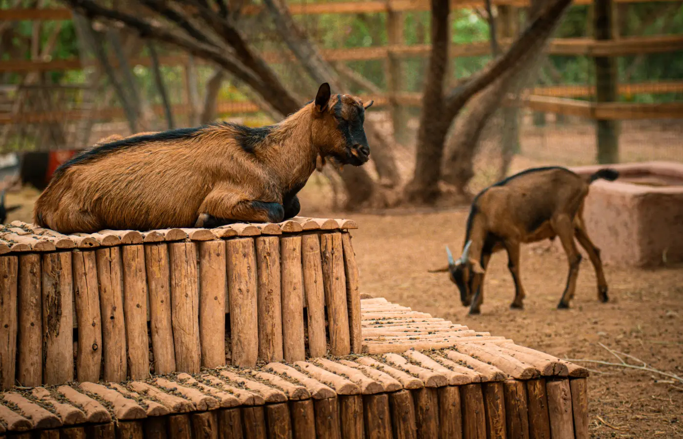 Le Jardin Ocre en images